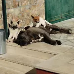 3 Archi Pisticci
