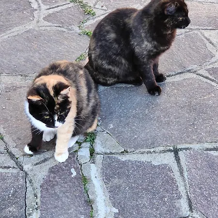 Appartamento 3 Archi