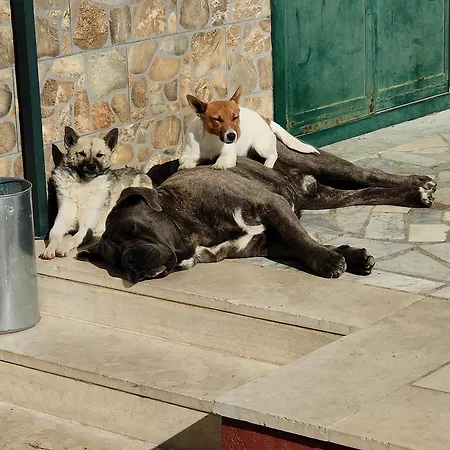 3 Archi Pisticci